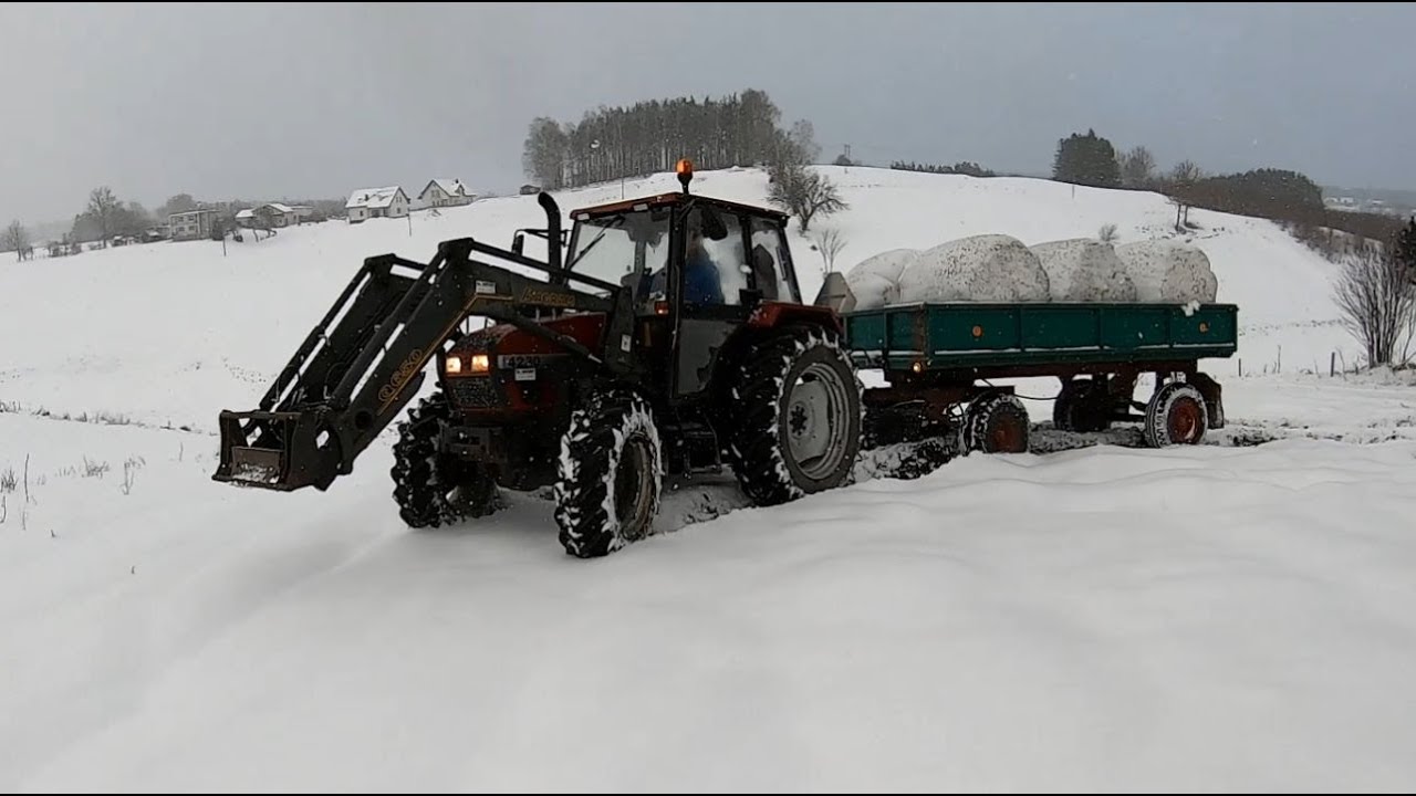 Podjazd pod oblodzoną górę/ Przywożenie bel kiszonki Case 4230 z przyczepą