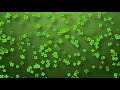 1 HOUR! ~ Screensaver ~ 100's of Floating Green Shamrocks!  Perfect for St. Patrick's Day~