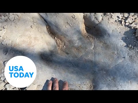 Dinosaur tracks revealed by Texas drought | USA TODAY
