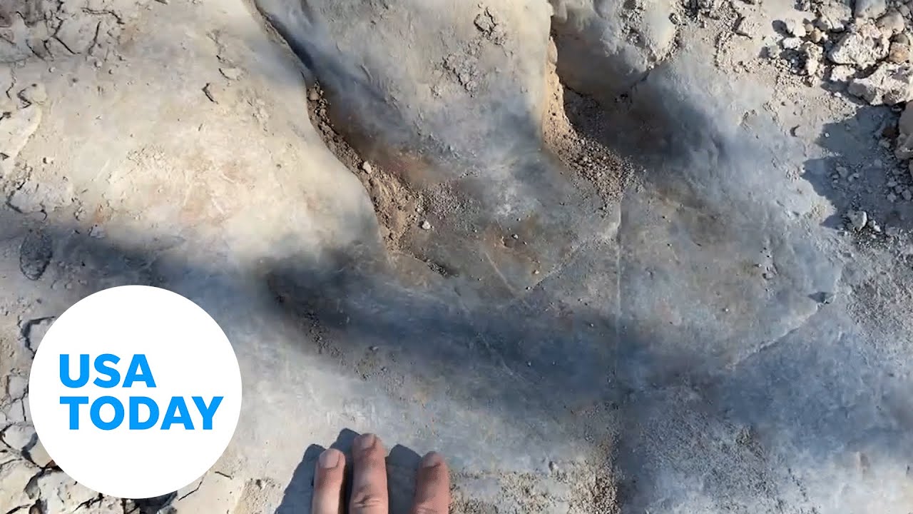 Dinosaur tracks revealed by Texas drought | USA TODAY