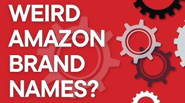 The truth behind weird brand names on Amazon like DGPIOD and FRENTYKIL? (Amazon FBA 101)