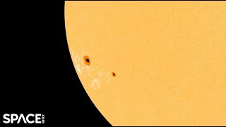 Big sunspot arrives just in time for Thanksgiving..as predicted