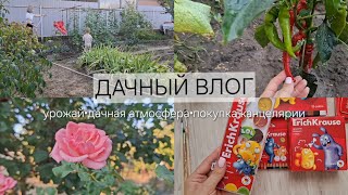 картинка: Дачный влог|закупка канцелярии 