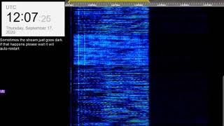 The Buzzer/UVB-76(4625Khz) September 17th 2020 12:05UTC Voice message