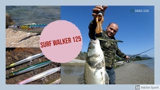 The new SEABASS KILLER from Savage Gear! Surf Walker 125 F