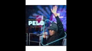 tittle :PELO song by shandesh feat black juize. ❤️ please  subscribe. ❤️