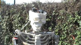 Animatronic Skeleton Prototype