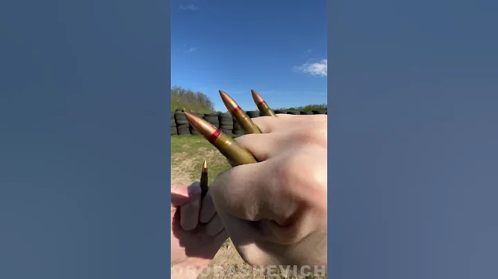 SKS RIFLE part 3 #sks #shorts #rifle #review #ussr #usa #ammo #gun #shootingrange #shot #target