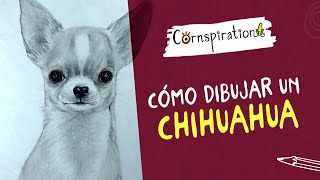 Cómo dibujar un Chihuahua con Lápices 🐾 Paso a Paso - thptnganamst.edu.vn
