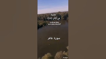 القارئ الشيخ خالد الجليل - تلاوة عطره من سورة غافر #المصحف