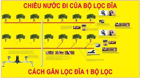 GIẢI PHÁP TƯỚI ASOP | Chiều nước đi của bộ lọc đĩa, cách gắn lọc đĩa 1 bộ lọc