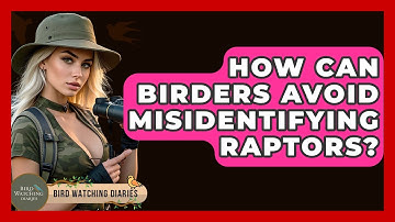 How Can Birders Avoid Misidentifying Raptors? - Bird Watching Diaries