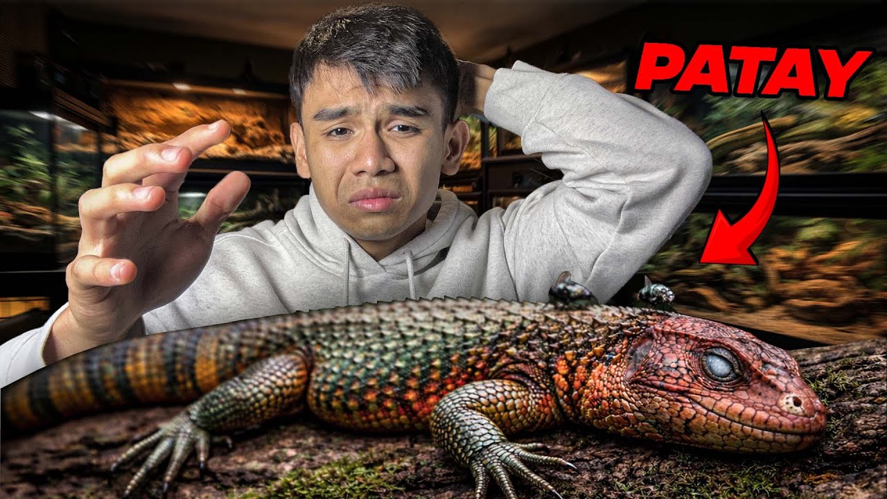 NA-MATAY ang ALAGA ko sa BG HOUSE - Unexpected 