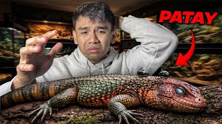 Na-Matay Ang Alaga Ko Sa Bg House - Unexpected