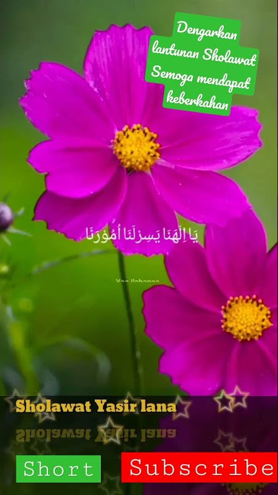 #sholawatnabi Yasir Lana
