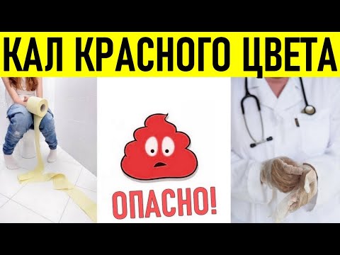 КАЛ КРАСНОГО ЦВЕТА | Что делать когда красный кал