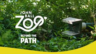 Beyond the Path | Bees by John Ball Zoo 92 views 8 months ago 1 minute, 1 second