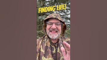 Finding Life! Leviticus 18:5