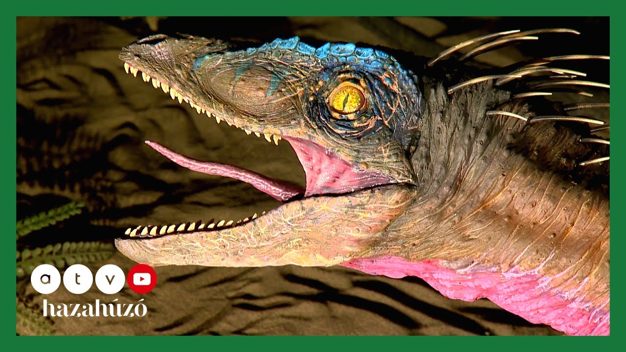 HAZAHÚZÓ – Komlói séta és érdekességek