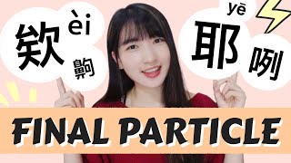 Daily Sentence-Final Particles in Taiwanese Mandarin | 欸、耶、齁、咧