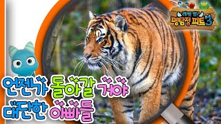 [EBS놀이터] 명탐정 피트3🔎｜언젠가 돌아갈 거야｜대단한 아빠들｜숲 속 수사대｜동물｜식물｜곤충｜애니메이션