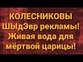 Семья Колесниковых/Новости из Дворца