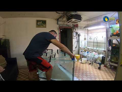 Video: Si Te Zgjidhni Një Varkë Me Fryrje PVC