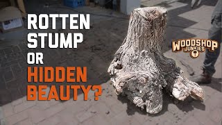Can A Rotten Tree Stump Become Something Beautiful? by Woodshop Junkies 60,861 views 1 year ago 17 minutes