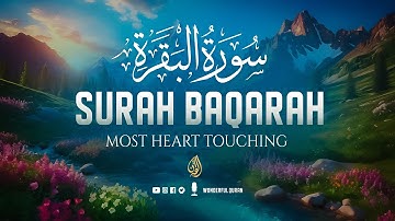 Surah Al-Baqarah سورة البقره Full | Heavenly Voice Will Deeply Touch Your Soul إن شاء الله | WQ