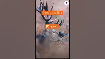 #المنشاوي #سورة_الشورى ﴿ ۞ وَلَوْ بَسَطَ اللَّهُ الرِّزْقَ لِعِبَادِهِ لَبَغَوْا فِي الْأَرْضِ.....﴾