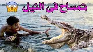 لما يطلعلك تمساح فى النيل 😱