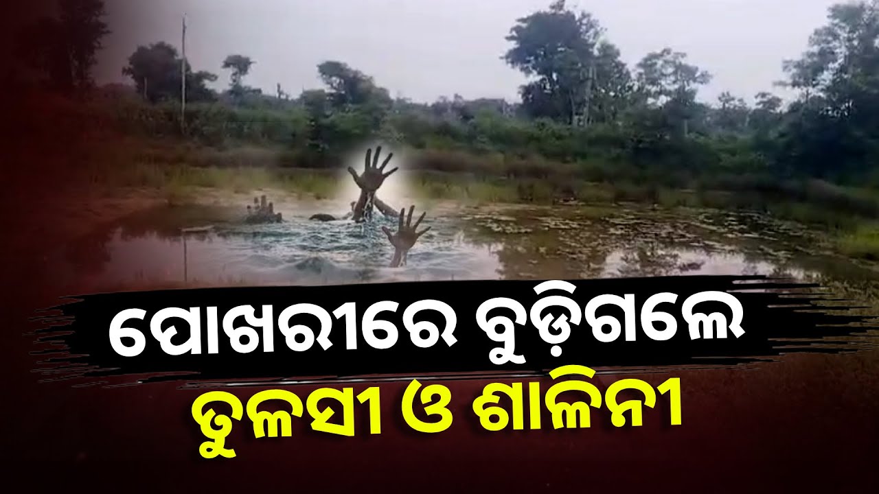 ଛୋଟ ପିଲା ପୋଖରୀ ପାଖକୁ ଯାଉଛନ୍ତି କେମିତି, ବାପା ମାଆ ଧ୍ୟାନ ଦେଉ ନାହାନ୍ତି କି ? || Knews Odisha
