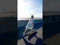 ロンスケと夏空 #ロンスケ女子 #music #longboardgirl #longboard #ロングスケートダンシング #longboarding #longboardlife