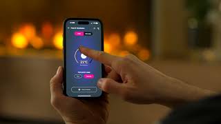 Dimplex Ignite Bold En