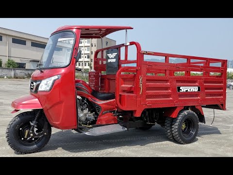 cabin tricycle: 300cc