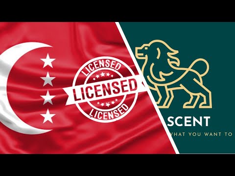 Experience Seamless Mobile Gaming: Exploring AeroBet Casino's Mobile Compatibility & App Features