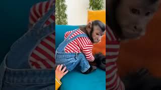 Guess Who Hid The Babys Remote?