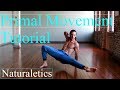 Learn How To Flow: Locomotion, Animal Flow, Primal Movement