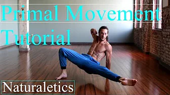 Learn How To Flow: Locomotion, Animal Flow, Primal Movement