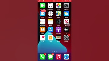 Como resolver bug das câmeras preta no iOS 14