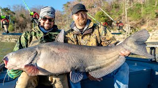 MONSTER Catfish Fishing in Alabama