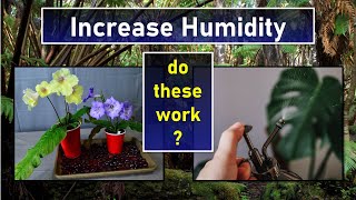 Best Way to Increase Humidity for Indoor Plants by Garden Fundamentals 1,855 views 3 months ago 9 minutes, 29 seconds