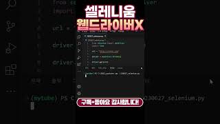 아직도 셀레니움 크롬 드라이버 설치하세요? screenshot 1