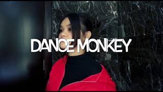 Dance Monkey - Tones and I (Cover by Shandy Aulia Darmawan)