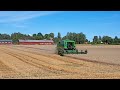 Harvest at Hollstad farm 6 Aug 2021
