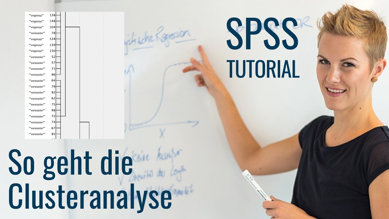 Update New So geht die Clusteranalyse mit SPSS