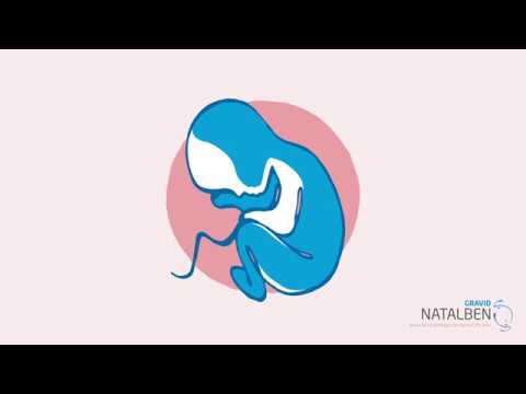 Video: Pregnakea - Bruksanvisning, Vitaminer För Gravida Kvinnor, Recensioner, Pris