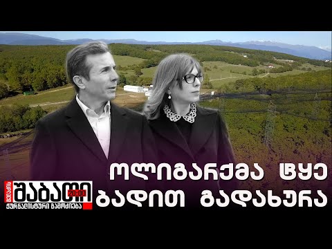 ბიძინამ ტყე ბადით გადახურა და უზარმაზარ გალიად გადააკეთა