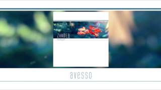 Video thumbnail of "Zander - Avesso (Flamboyant)"