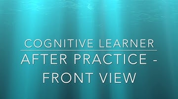 Motor Learning and Performance Video